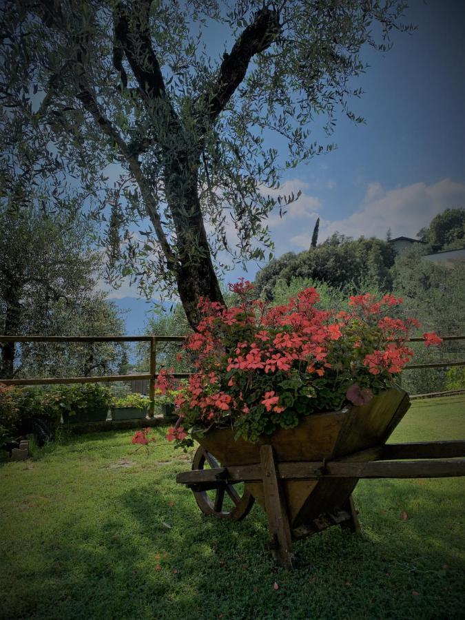 Appartamento Camelia Malcesine Extérieur photo